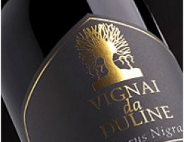 Immagine 2 di REFOSCO DAL PENDUNCOLO ROSSO D.O.C: MORUS NIGRA