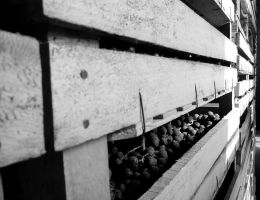 Immagine 2 di RECIOTO CLASSICO DELLA VALPOLICELLA D.O.C.