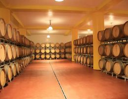 Immagine 2 di AMARONE DELLA VALPOLICELLA RISERVA D.O.C.