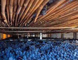 Immagine 3 di AMARONE DELLA VALPOLICELLA RISERVA D.O.C.