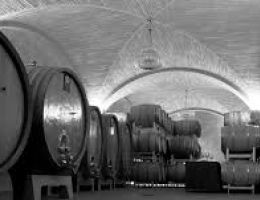 Immagine 5 di AMARONE DELLA VALPOLICELLA RISERVA D.O.C.G. CAMPO INFERI