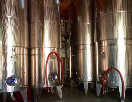 Immagine 4 di SOAVE CLASSICO D.O.C. VIGNETO SENGIALTA