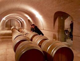 Immagine 5 di SOAVE CLASSICO D.O.C. VIGNETO SENGIALTA