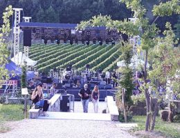 Immagine 5 di VESPA BIANCO CRU BASTIANICH