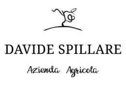 Immagine 2 di VENETO ROSSO MERLOT I.G.T. GIARONI DAVIDE SPILLARE