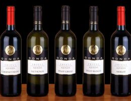 Immagine 1 di FRIULI AQUILEIA PINOT GRIGIO D.O.C.