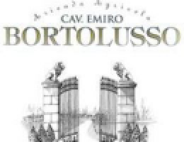 Immagine 1 di FRIULI ANNIA TRAMINER D.O.C.