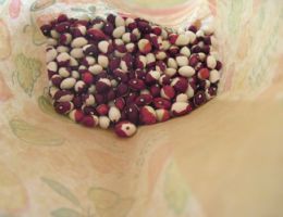 Immagine 1 di FAGIOLO MONACHELLO DI ESINO LARIO AGRI LA ZIA BERTA