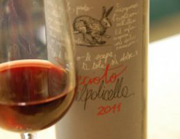 Immagine 3 di RECIOTO DELLA VALPOLICELLA D.O.C.G. CLASSICO