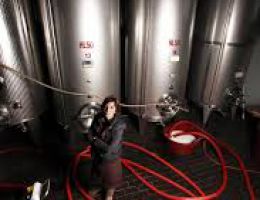 Immagine 3 di BARDOLINO CLASSICO D.O.C. LE FRAGHE