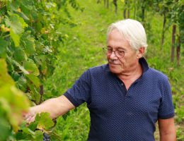 Immagine 1 di C.O.F. BIANCO D.O.C. GRAMOGLIANO