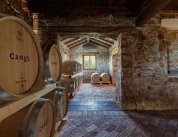 Immagine 3 di C.O.F. BIANCO D.O.C. GRAMOGLIANO