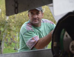 Immagine 4 di VALPOLICELLA D.O.C. SUPERIORE