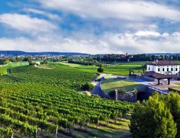 Immagine 3 di I.G.T. VENEZIA GIULIA BLANCS DES ROSIS LINEA DEI FIORI