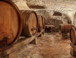 Immagine 3 di TERRANO D.O.C. DEL CARSO AGRI SKERLJ VINI