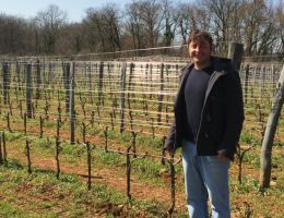 Immagine 4 di TERRANO D.O.C. DEL CARSO AGRI SKERLJ VINI