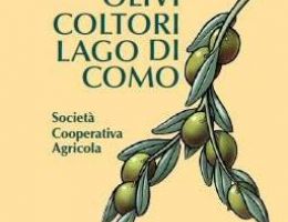 Immagine 2 di OLIO EXTRAVERGINE DI OLIVA D.O.P. DEI LAGHI LOMBARDI DI CATEGORIA SUPERIORE OLIVICOLTORI LAGO DI COMO