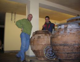 Immagine 5 di VENEZIA GIULIA AMPHOREUS MALVASIA D.O.C.