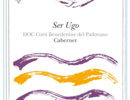 Immagine 1 di SER UGO RABOSO I.G.T. ROSSO DEL VENETO