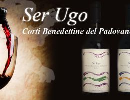 Immagine 2 di SER UGO RABOSO I.G.T. ROSSO DEL VENETO