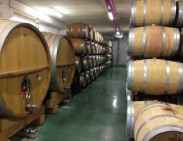 Immagine 4 di AMARONE DELLA VALPOLICELLA CLASSICO D.O.C.G. VIGNETI VILLABELLA