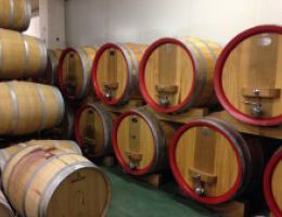 Immagine 5 di AMARONE DELLA VALPOLICELLA CLASSICO D.O.C.G. VIGNETI VILLABELLA