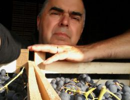 Immagine 1 di VALPOLICELLA CLASSICO SUPERIORE D.O.C.