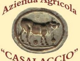 Immagine 1 di OLIO EXTRAVERGINE DI OLIVA D.O.P. CANINO