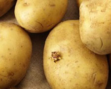 Immagine 1 di Patata  del Fucino