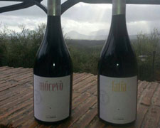 Immagine 1 di Lecinaro Rosso Igt