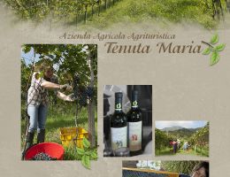 Immagine 1 di VALCALEPIO ROSSO D.O.C. RISERVA SEVERO