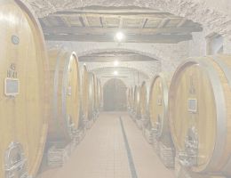 Immagine 5 di FRASCATI D.O.C.G. POGGIO VERDE