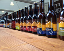 Immagine 1 di 02 GINEVRA