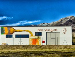 Immagine 2 di 02 GINEVRA