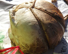 Immagine 1 di Mozzarella di Bufala