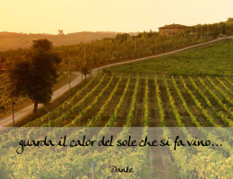 Immagine 4 di LAZIO INCROCIO MANZONI I.G.P. ZEFIRO