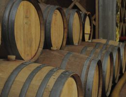 Immagine 5 di LAZIO VIOLONE I.G.P. GOCCE VIGNETO CIPOLLETTA