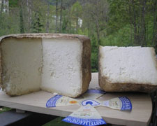 Immagine 1 di CASTELMAGNO D'ALPEGGIO D.O.P. ​​​​​​​CASEIFICIO LA ROSSA