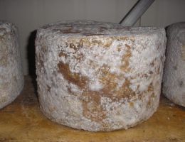 Immagine 2 di CASTELMAGNO D'ALPEGGIO D.O.P. ​​​​​​​CASEIFICIO LA ROSSA