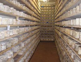 Immagine 4 di CASTELMAGNO D'ALPEGGIO D.O.P. ​​​​​​​CASEIFICIO LA ROSSA