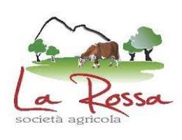 Immagine 5 di CASTELMAGNO D'ALPEGGIO D.O.P. ​​​​​​​CASEIFICIO LA ROSSA