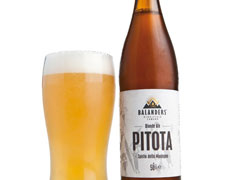 Immagine 1 di PITOTA STILE BLONDE ALE