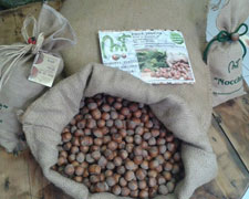 Immagine 1 di Nocciole di Sutri