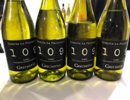 Immagine 1 di LAZIO GRECHETTO I.G.P. G 109