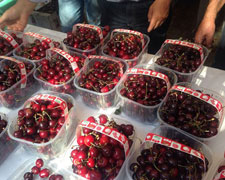 Immagine 1 di Ciliegia di Celleno