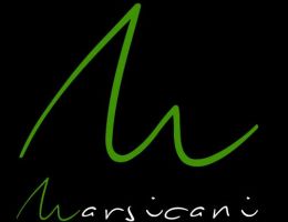 Immagine 2 di OLIO EXTRAVERGINE DI OLIVA CILENTO D.O.P. CATEGORIA SUPERIORE ALGORITMO