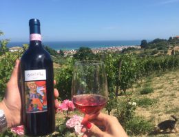 Immagine 1 di MONTEPULCIANO D'ABRUZZO COLLINE TERAMANE D.O.C.G. POLIFEMO