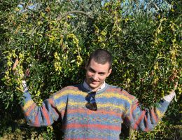 Immagine 2 di OLIO EXTRAVERGINE DI OLIVA BLEND  QUALITA' SUPERIORE