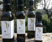 Immagine 1 di OLIO EXTRAVERGINE DI OLIVA CULTIVAR ORTICE DI CATEGORIA SUPERIORE