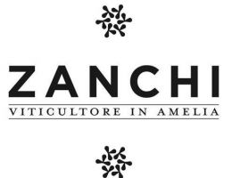 Immagine 2 di VIGNAVECCHIA TREBBIANO UMBRIA I.G.T. CANTINA ZANCHI